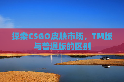 探索CSGO皮肤市场,TM版与普通版的区别 探索CSGO皮肤市场,TM版与普通版的区别