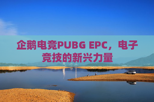企鹅电竞PUBG EPC，电子竞技的新兴力量