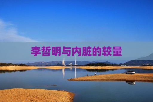 李哲明与内脏的较量 李哲明与内脏的较量