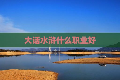 大话水浒什么职业好