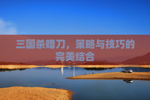 三国杀赠刀，策略与技巧的完美结合