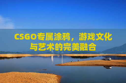 CSGO专属涂鸦,游戏文化与艺术的完美融合 CSGO专属涂鸦,游戏文化与艺术的完美融合
