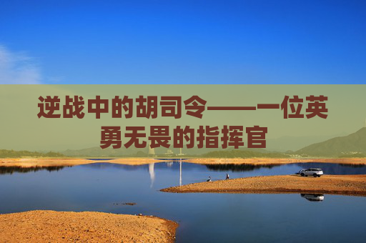 逆战中的胡司令——一位英勇无畏的指挥官