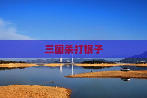 三国杀打银子