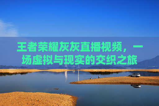 王者荣耀灰灰直播视频,一场虚拟与现实的交织之旅 王者荣耀灰灰直播视频,一场虚拟与现实的交织之旅