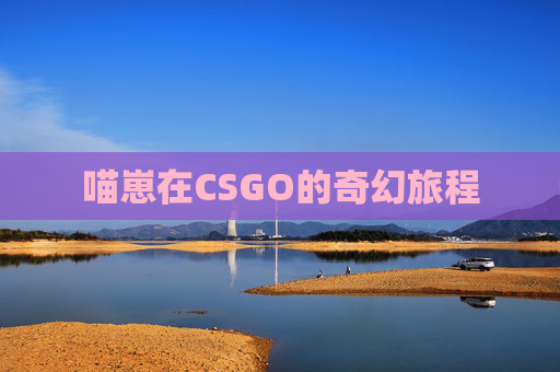 喵崽在CSGO的奇幻旅程 喵崽在CSGO的奇幻旅程