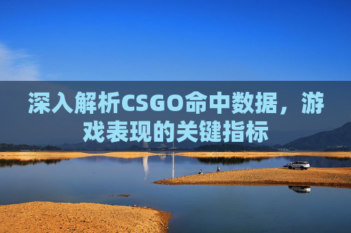 深入解析CSGO命中数据，游戏表现的关键指标