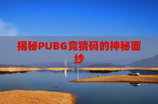 揭秘PUBG竞猜码的神秘面纱