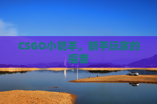 CSGO小奶羊,新手玩家的福音 CSGO小奶羊,新手玩家的福音