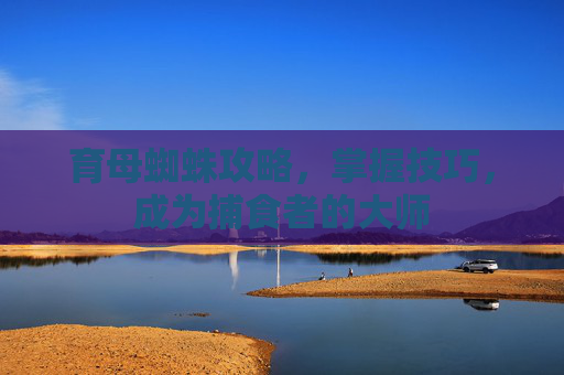 育母蜘蛛攻略，掌握技巧，成为捕食者的大师