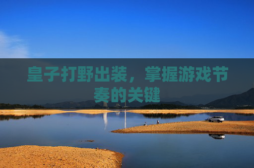 皇子打野出装，掌握游戏节奏的关键