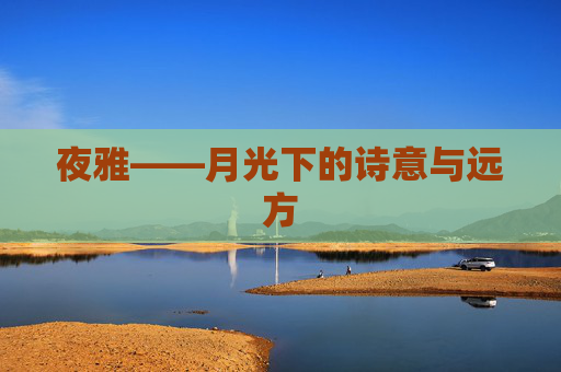 夜雅——月光下的诗意与远方