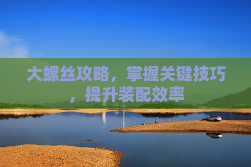 大螺丝攻略，掌握关键技巧，提升装配效率