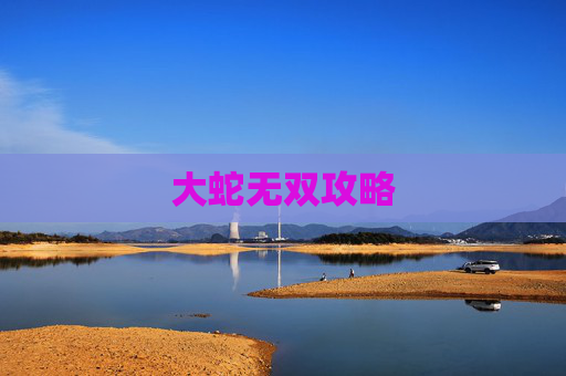 大蛇无双攻略
