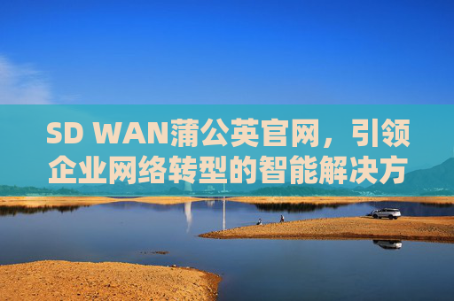 SD WAN蒲公英官网，引领企业网络转型的智能解决方案