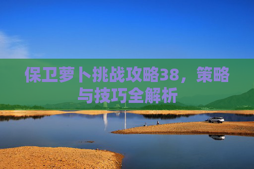 保卫萝卜挑战攻略38，策略与技巧全解析