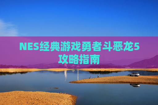 NES经典游戏勇者斗恶龙5攻略指南 NES经典游戏勇者斗恶龙5攻略指南
