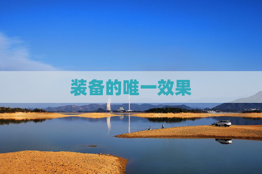 装备的唯一效果