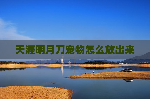 天涯明月刀宠物怎么放出来 天涯明月刀宠物怎么放出来