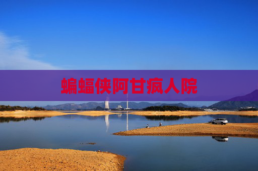 蝙蝠侠阿甘疯人院