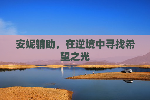 安妮辅助，在逆境中寻找希望之光