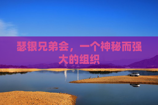 瑟银兄弟会，一个神秘而强大的组织