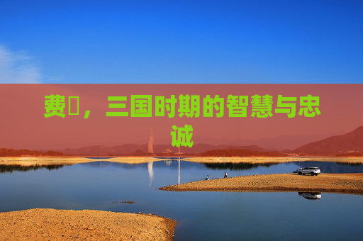 费祎，三国时期的智慧与忠诚
