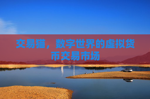 交易猫，数字世界的虚拟货币交易市场