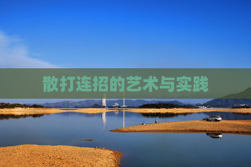 散打连招的艺术与实践