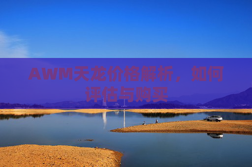 AWM天龙价格解析，如何评估与购买