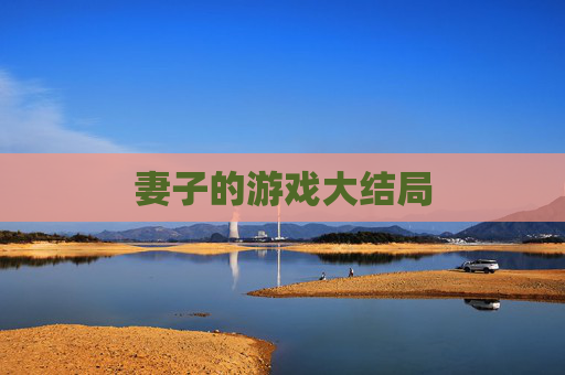 妻子的游戏大结局