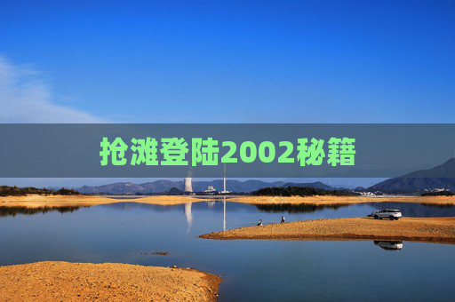 抢滩登陆2002秘籍