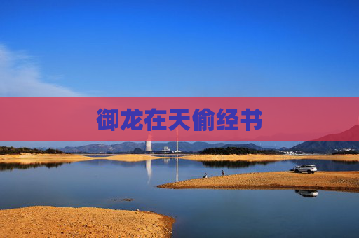 御龙在天偷经书