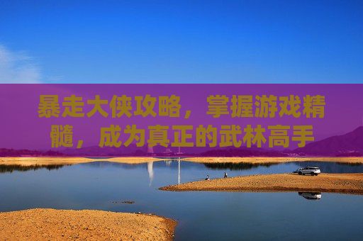 暴走大侠攻略，掌握游戏精髓，成为真正的武林高手