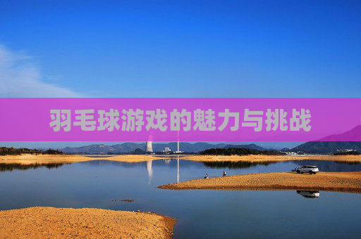 羽毛球游戏的魅力与挑战 羽毛球游戏的魅力与挑战