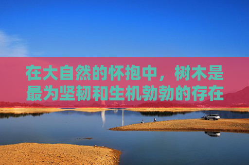 在大自然的怀抱中，树木是最为坚韧和生机勃勃的存在。它们不仅仅是地球的守护者，更是一首无言的歌，唱给每一个经过它身边的旅人。每当微风轻拂过树梢，那歌声便悠扬起来，穿透了城市的喧嚣，抚慰着人们的心灵