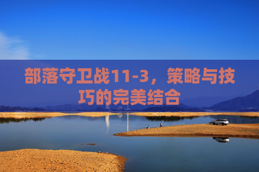 部落守卫战11-3，策略与技巧的完美结合