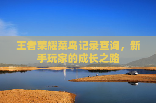 王者荣耀菜鸟记录查询，新手玩家的成长之路