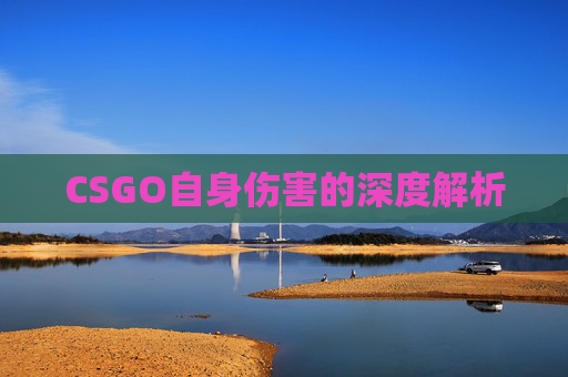 CSGO自身伤害的深度解析 CSGO自身伤害的深度解析