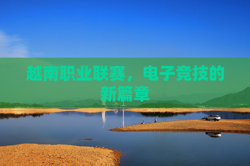 越南职业联赛,电子竞技的新篇章 越南职业联赛,电子竞技的新篇章