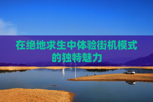 在绝地求生中体验街机模式的独特魅力