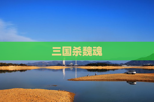 三国杀魏魂 三国杀魏魂