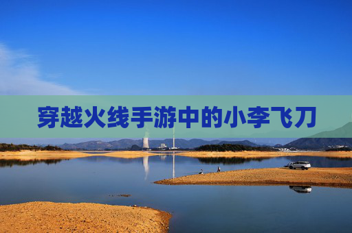 穿越火线手游中的小李飞刀