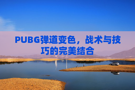 PUBG弹道变色,战术与技巧的完美结合 PUBG弹道变色,战术与技巧的完美结合