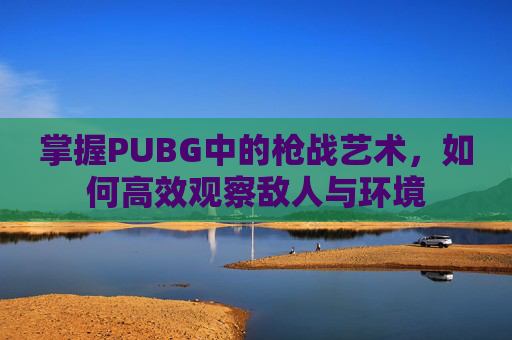 掌握PUBG中的枪战艺术，如何高效观察敌人与环境