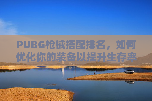 PUBG枪械搭配排名，如何优化你的装备以提升生存率
