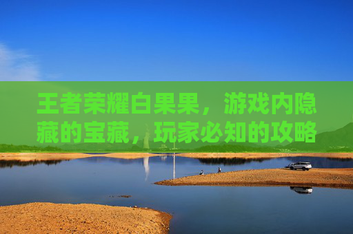 王者荣耀白果果,游戏内隐藏的宝藏,玩家必知的攻略 王者荣耀白果果,游戏内隐藏的宝藏,玩家必知的攻略