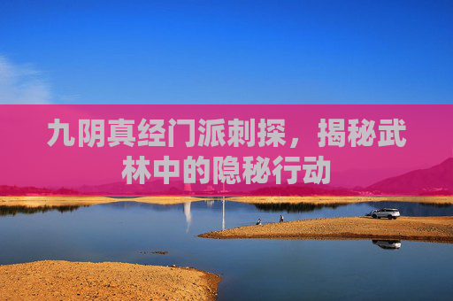 九阴真经门派刺探，揭秘武林中的隐秘行动