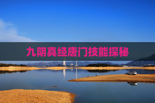 九阴真经唐门技能探秘
