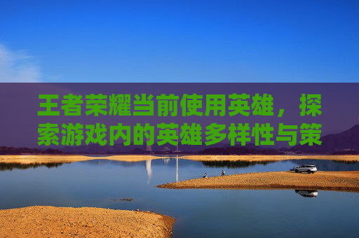 王者荣耀当前使用英雄，探索游戏内的英雄多样性与策略选择